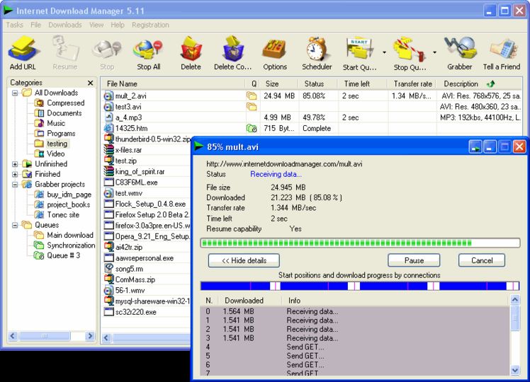 Internet download manager v6.15 build 3.final by yad