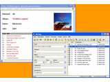 Mp3tag v2.45