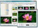 FastStone Image Viewer (Portable) v4.2