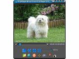 FLVPlayer4Free v2.3.0.0