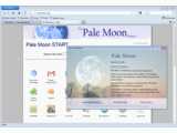 Pale Moon (64-bit) v12.2