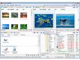 Q-Dir (64-bit) v5.30