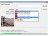 VSVideoDownloaderLite (64-bit Portable) v0.7.1.809
