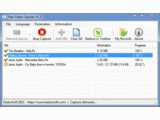 Free Video Catcher v2.0