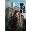E3 2012: Sony shows off incredible 'The Last of Us' gameplay footage E3 2012: Sony shows off incredible 'The Last of Us' gameplay footage