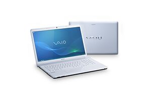 Sony Vaio VPCEC2M1E/WI