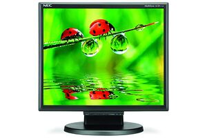 NEC Multisync LCD175M-BK