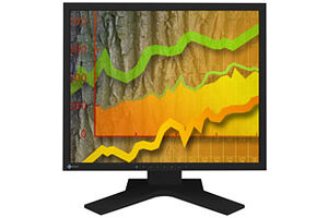 Eizo FlexScan S1903SH-BK