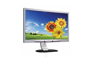 Philips 220P4LPYES