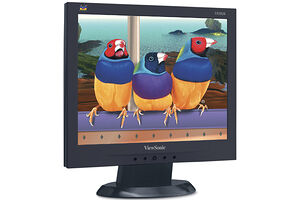 Viewsonic VA503b
