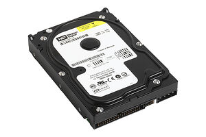 Western Digital Caviar SE WD1000JB