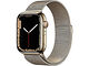 Apple Watch Series 7 4G (45mm)